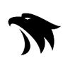ChatHawk logo