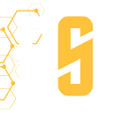 DevSeerAI