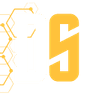 DevSeerAI logo
