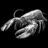 EZClaws logo