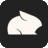 Pika Labs logo